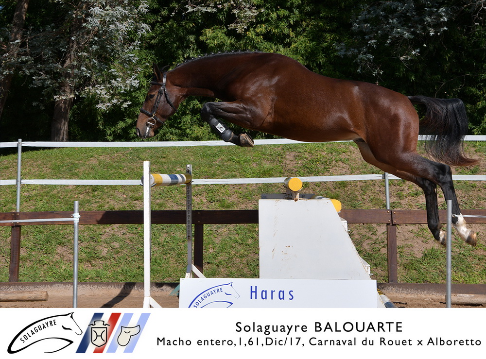 SOLAGUAYRE BALOUARTE